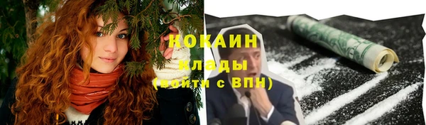 мдпв Лагань