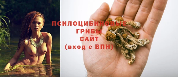 мдпв Лагань
