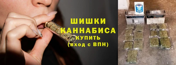 мдпв Лагань