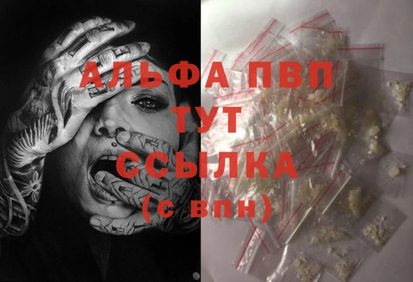 jwh Ладушкин